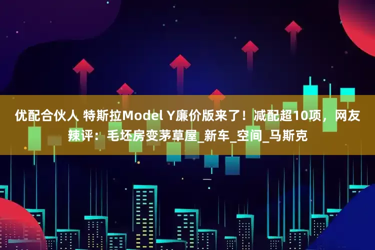 优配合伙人 特斯拉Model Y廉价版来了！减配超10项，网友辣评：毛坯房变茅草屋_新车_空间_马斯克