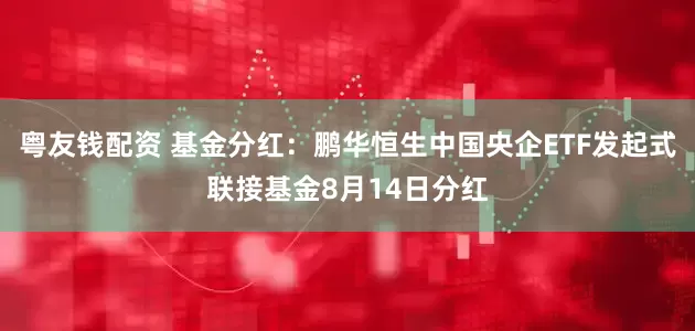 粤友钱配资 基金分红：鹏华恒生中国央企ETF发起式联接基金8月14日分红