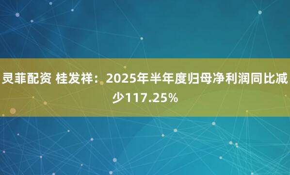灵菲配资 桂发祥：2025年半年度归母净利润同比减少117.25%