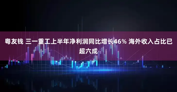 粤友钱 三一重工上半年净利润同比增长46% 海外收入占比已超六成