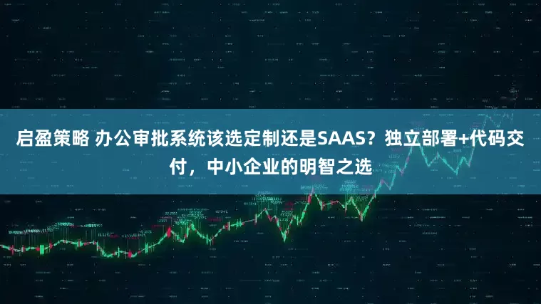 启盈策略 办公审批系统该选定制还是SAAS？独立部署+代码交付，中小企业的明智之选